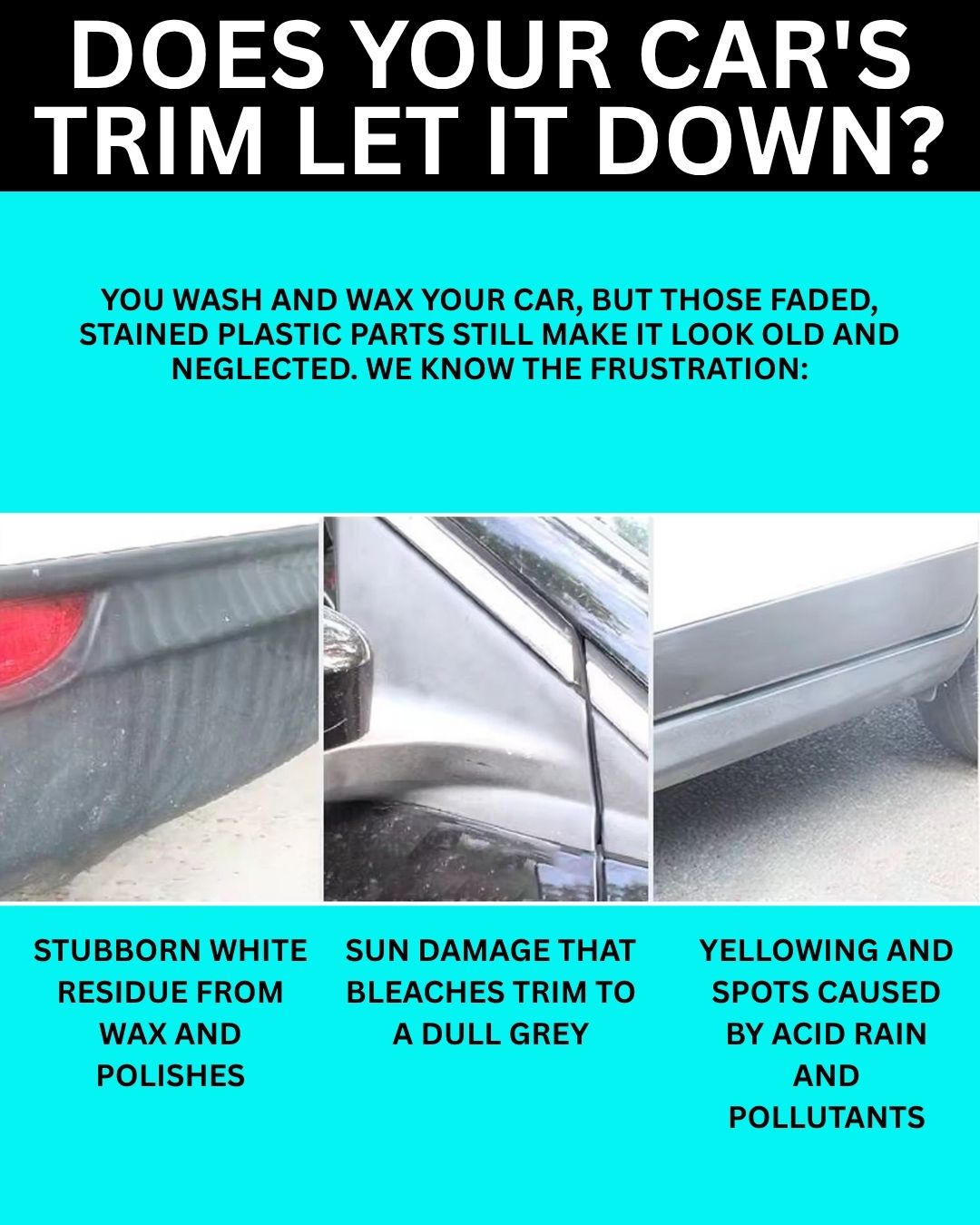 Plastic & Trim Restorer | THREE GUYS | German Engineered (250ml)